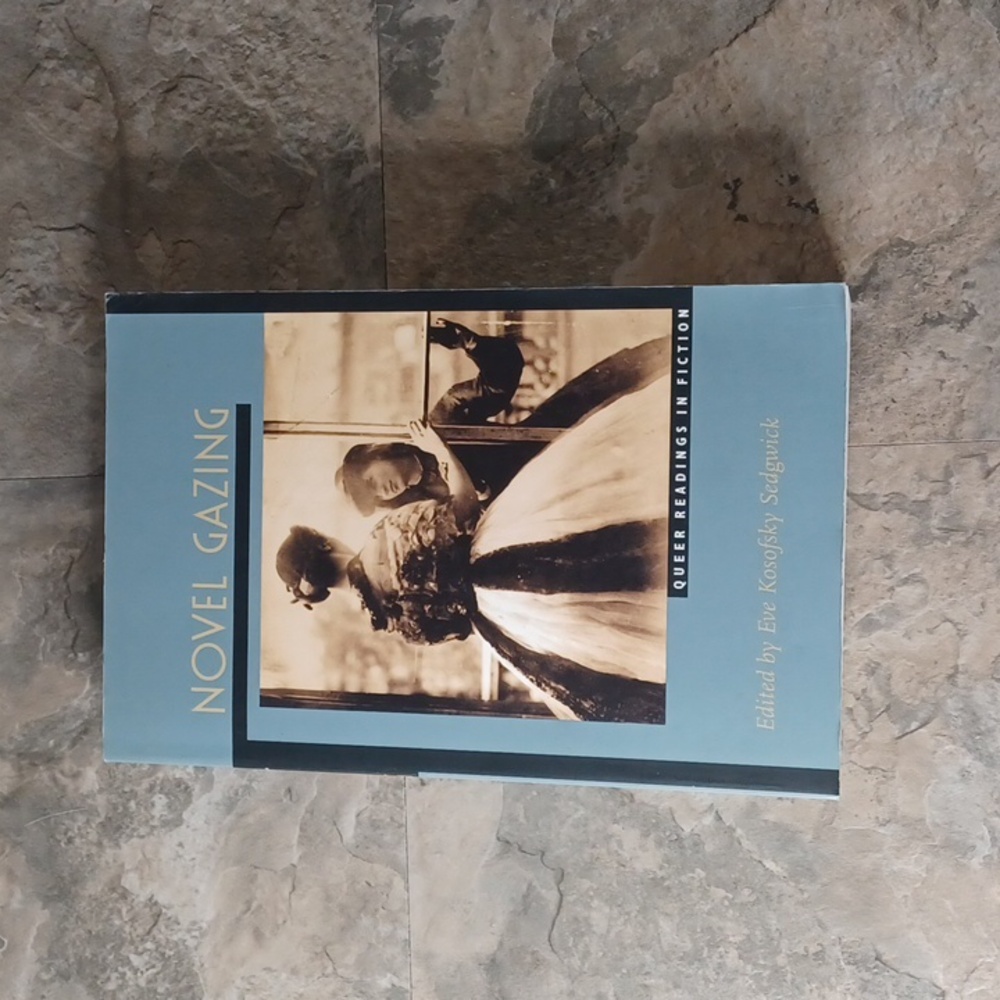 Novel Gazing Queer Readings in Fiction